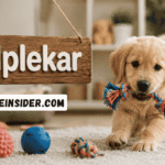 Valplekar